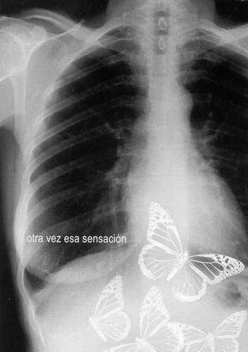 20060413114001-mariposas.jpg
